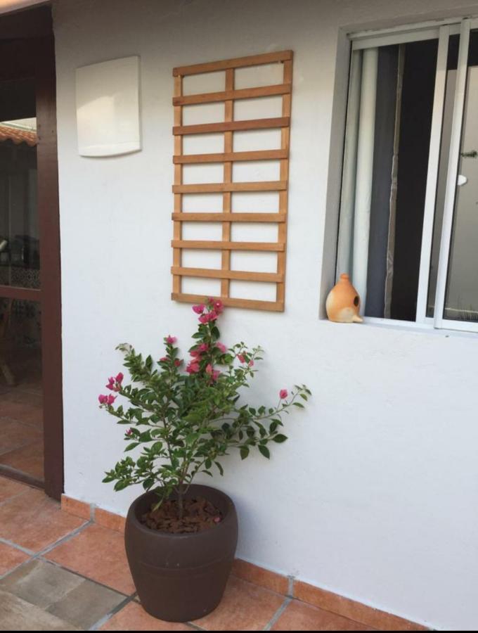 Praia Brava Guest House Suites Itajaí Eksteriør bilde